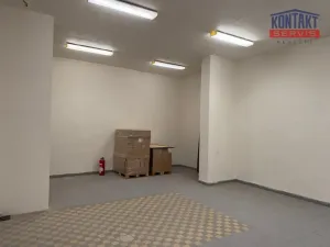 Pronájem skladu, České Budějovice, U Smaltovny, 65 m2