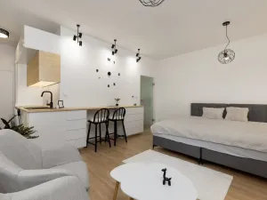 Pronájem bytu 1+kk, Ostrava - Moravská Ostrava, Na Fifejdách, 35 m2
