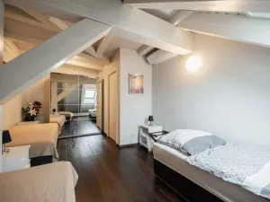 Pronájem bytu 3+kk, Praha - Nové Město, Karlovo náměstí, 95 m2