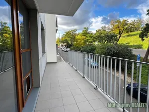 Pronájem bytu 3+kk, Praha - Žižkov, Kališnická, 105 m2