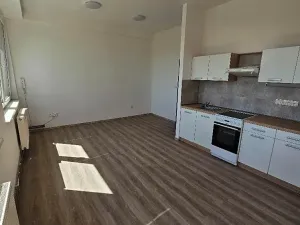 Pronájem bytu 2+kk, Mlékojedy, 50 m2