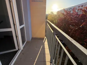 Pronájem bytu 1+1, Hradec Králové - Moravské Předměstí, Štefánikova, 38 m2