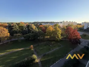 Pronájem bytu 1+1, Hradec Králové - Moravské Předměstí, Štefánikova, 38 m2