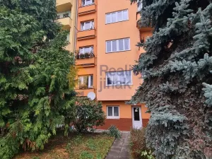 Prodej bytu 1+1, Brno - Staré Brno, Vodní, 24 m2