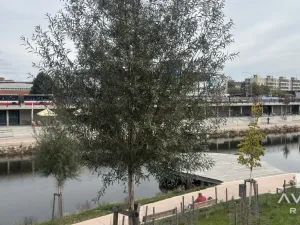 Prodej bytu 3+kk, Brno, Polní, 72 m2