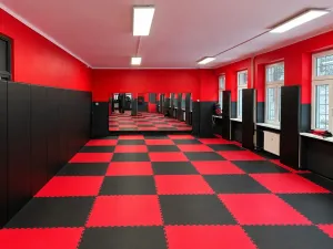 Prodej komerční nemovitosti, Karlovy Vary, Mozartova, 170 m2