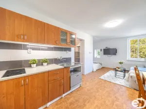 Prodej bytu 1+kk, Kořenov, 29 m2