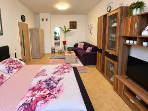 Prodej bytu 1+1, Osek nad Bečvou, 49 m2