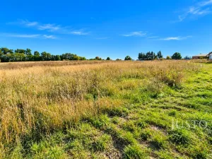 Prodej pozemku pro bydlení, Čížová - Zlivice, 955 m2