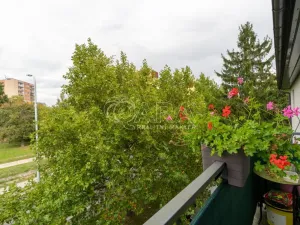 Prodej bytu 2+kk, Milovice - Mladá, Armádní, 53 m2