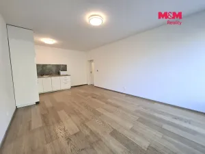 Pronájem bytu 1+kk, Praha - Michle, Nuselská, 41 m2
