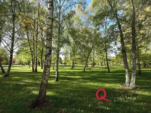 Prodej bytu 1+1, Hradec Králové, třída Edvarda Beneše, 42 m2