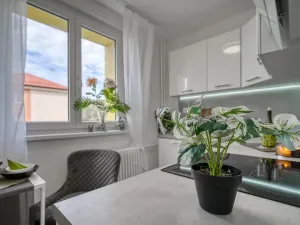 Pronájem bytu 2+1, Most, Zdeňka Fibicha, 55 m2