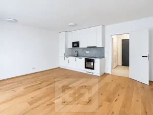 Prodej bytu 1+kk, Praha - Košíře, Starokošířská, 40 m2