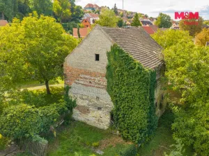 Prodej zemědělské usedlosti, Buštěhrad, Náměstí, 4516 m2