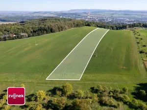 Prodej pozemku, Žlutava, 9303 m2