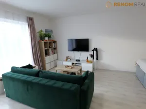 Pronájem bytu 1+kk, Olomouc, Wolkerova, 42 m2