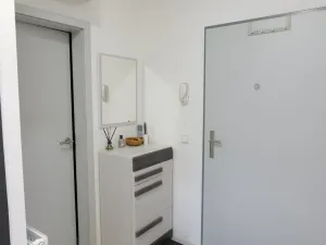 Pronájem bytu 1+kk, Olomouc, Wolkerova, 42 m2