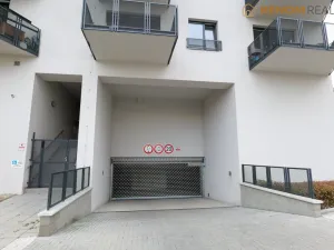 Pronájem bytu 1+kk, Olomouc, Wolkerova, 42 m2