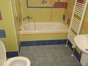 Pronájem bytu 1+1, Plzeň, Kollárova, 73 m2