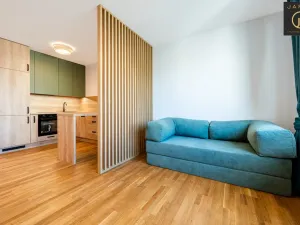 Pronájem bytu 1+kk, Kladno, Lesík, 33 m2