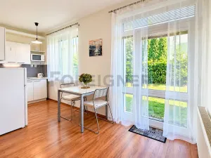 Pronájem bytu 1+kk, Brno, Adamcova, 34 m2
