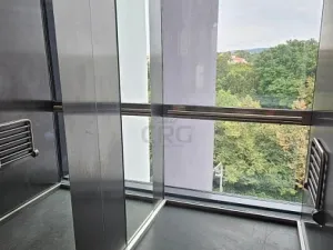 Pronájem bytu 2+kk, Brno - Veveří, Lidická, 55 m2