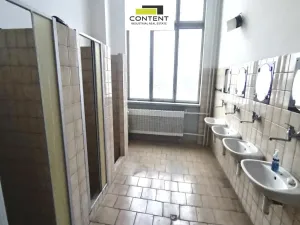 Pronájem výrobních prostor, Břeclav, Mládežnická, 973 m2
