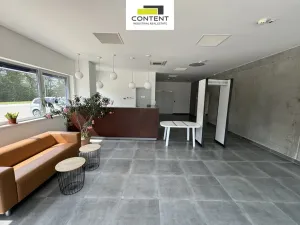 Pronájem výrobních prostor, Tuřany - Lipoltov, 3000 m2