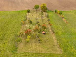 Prodej zahrady, Starý Jičín - Janovice, 10274 m2