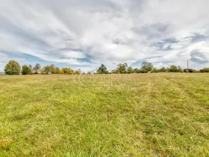 Prodej zahrady, Starý Jičín - Janovice, 10274 m2