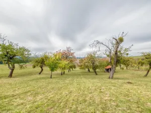 Prodej zahrady, Starý Jičín - Janovice, 10274 m2