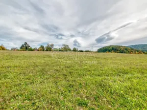 Prodej zahrady, Starý Jičín - Janovice, 10274 m2