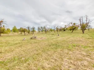 Prodej zahrady, Starý Jičín - Janovice, 10274 m2