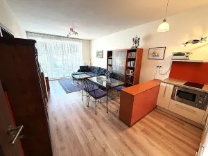 Prodej bytu 2+kk, České Budějovice, Volejbalistů, 58 m2