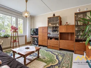 Prodej bytu 1+1, Hradec Králové - Pražské Předměstí, Jungmannova, 36 m2