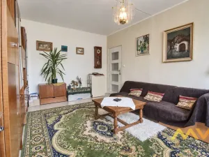 Prodej bytu 1+1, Hradec Králové - Pražské Předměstí, Jungmannova, 36 m2