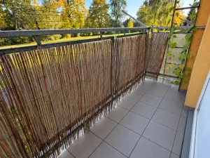 Prodej bytu 1+1, Hradec Králové - Pražské Předměstí, Jungmannova, 36 m2