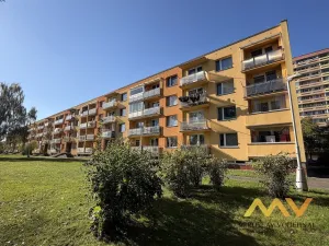 Prodej bytu 1+1, Hradec Králové - Pražské Předměstí, Jungmannova, 36 m2