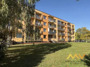 Prodej bytu 1+1, Hradec Králové - Pražské Předměstí, Jungmannova, 36 m2