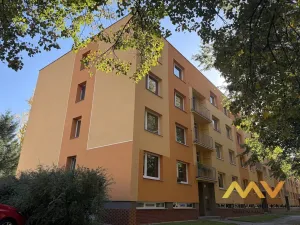 Prodej bytu 1+1, Hradec Králové - Pražské Předměstí, Jungmannova, 36 m2