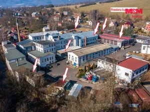 Pronájem výrobních prostor, Jílové - Modrá, 330 m2