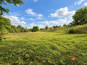 Prodej pozemku pro bydlení, Krhov, 8750 m2