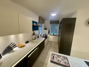 Prodej rodinného domu, Drahelčice, V Ruči, 185 m2