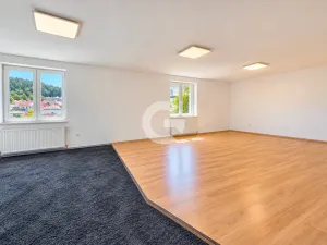 Prodej obchodního prostoru, Zlín - Malenovice, Bezručova, 568 m2