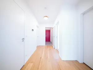 Prodej bytu 4+kk, Brno, Kollárova, 85 m2