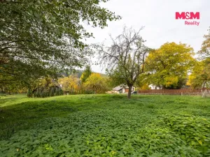 Prodej pozemku pro bydlení, Mochtín - Srbice, 740 m2