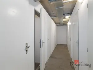 Prodej bytu 3+kk, Plzeň - Újezd, Halštatská, 88 m2
