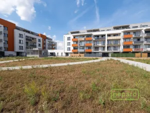 Prodej bytu 3+kk, Olomouc, Aloise Rašína, 88 m2