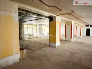 Pronájem obchodního prostoru, Praha - Nové Město, Vodičkova, 800 m2